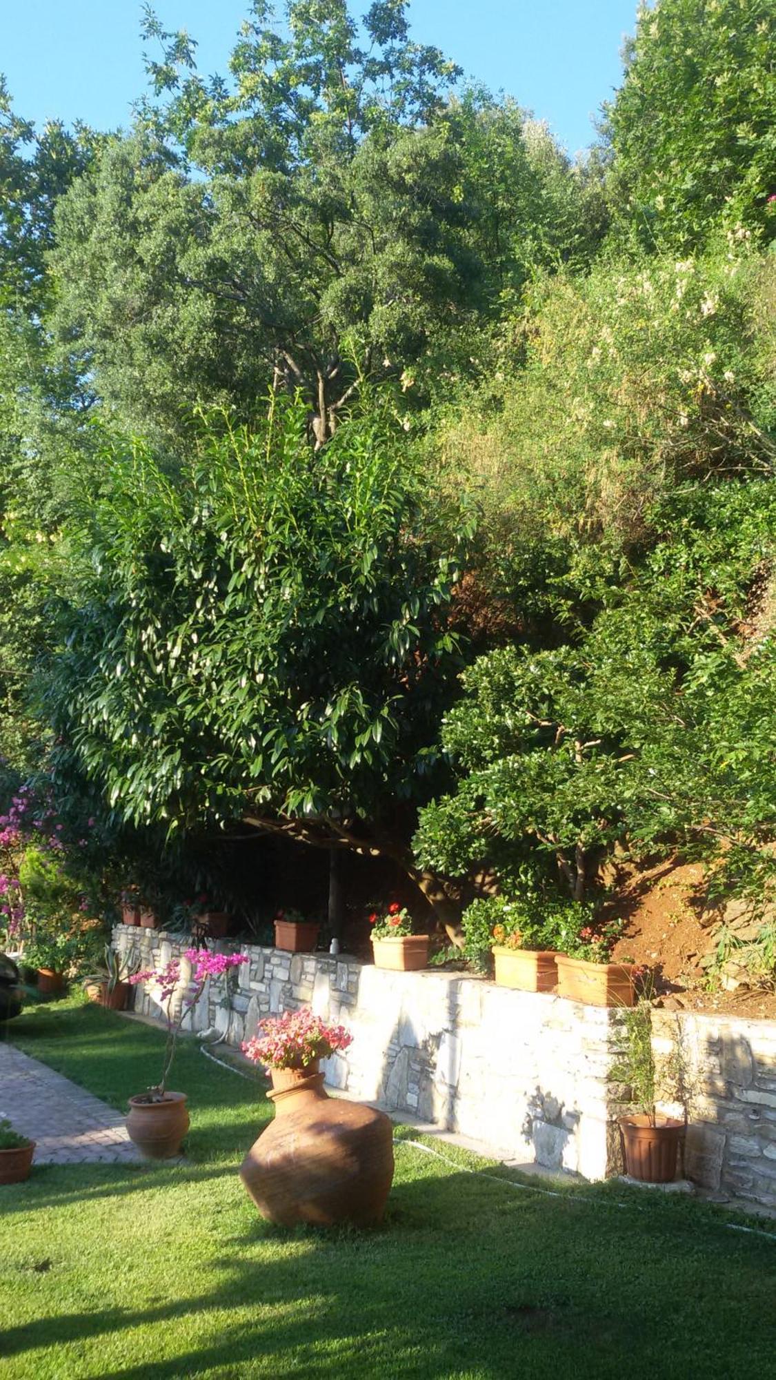 Villa Dimitra Skala Potamia  Luaran gambar