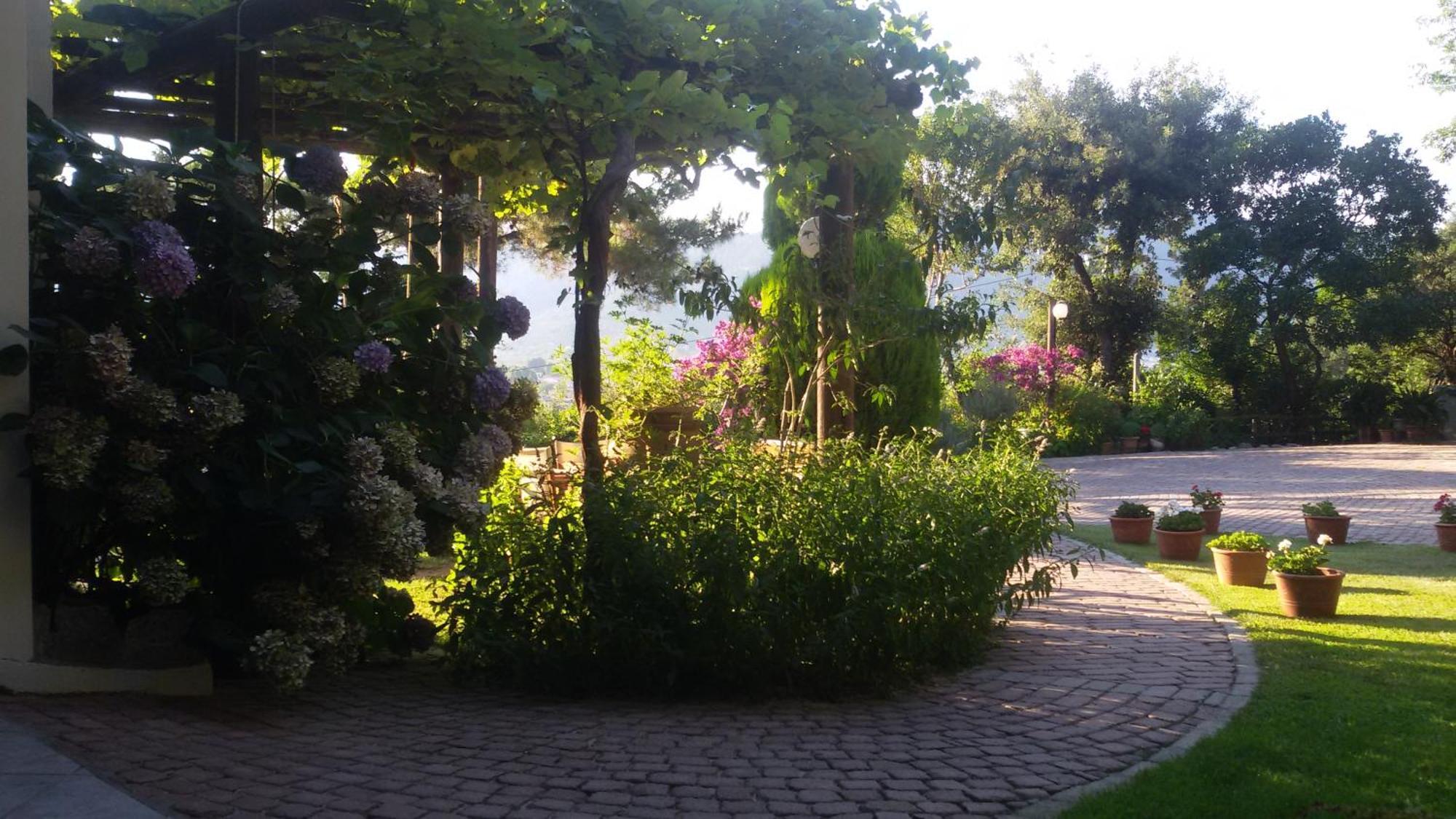 Villa Dimitra Skala Potamia  Luaran gambar